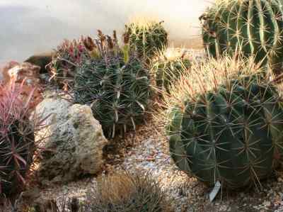 -todos-los-géneros-